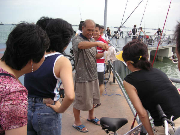 Click to see next picture