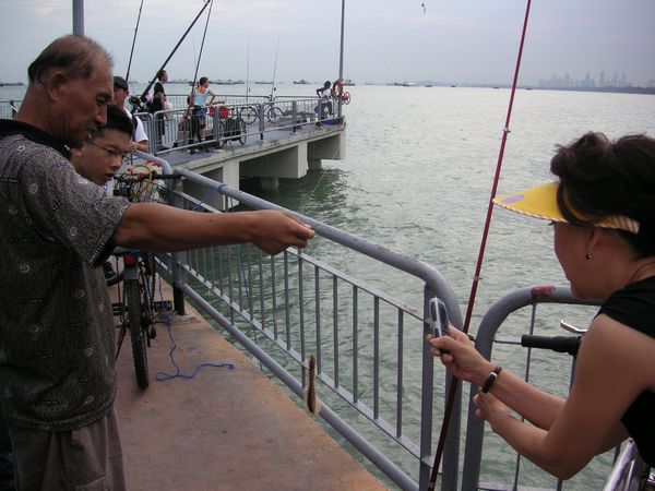 Click to see thumbs page