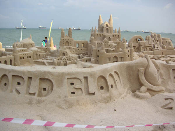 Click to see next picture