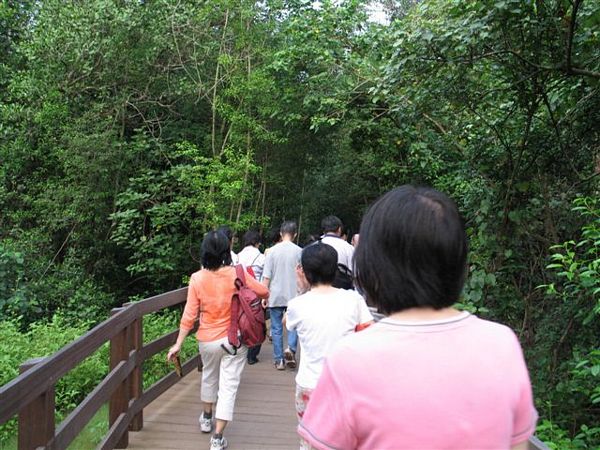 Click to see next picture