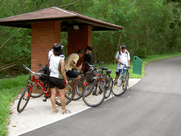 Click to see next picture