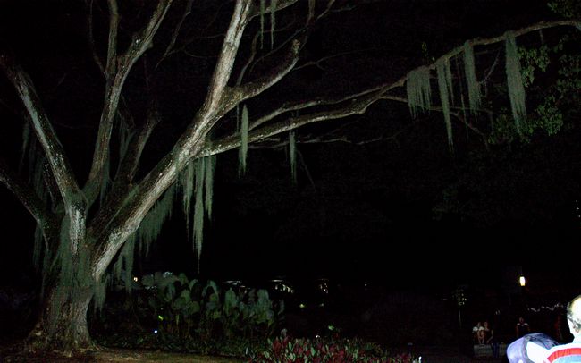 Click to see next picture