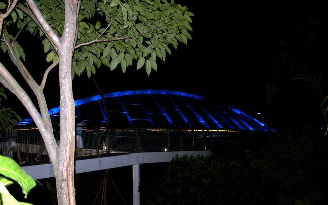 Click to see next picture