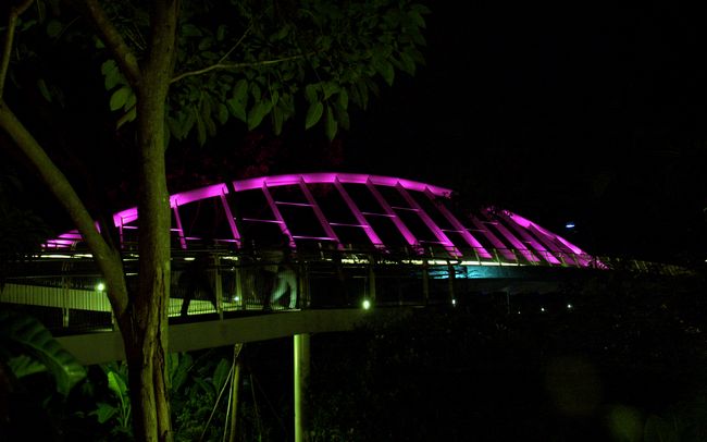 Click to see next picture